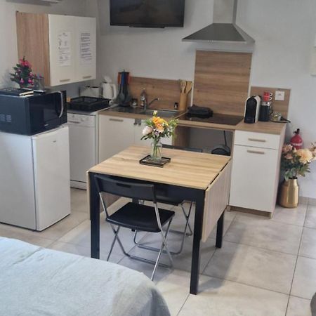 Studio Plein Sud Au Calme Montauban Esterno foto