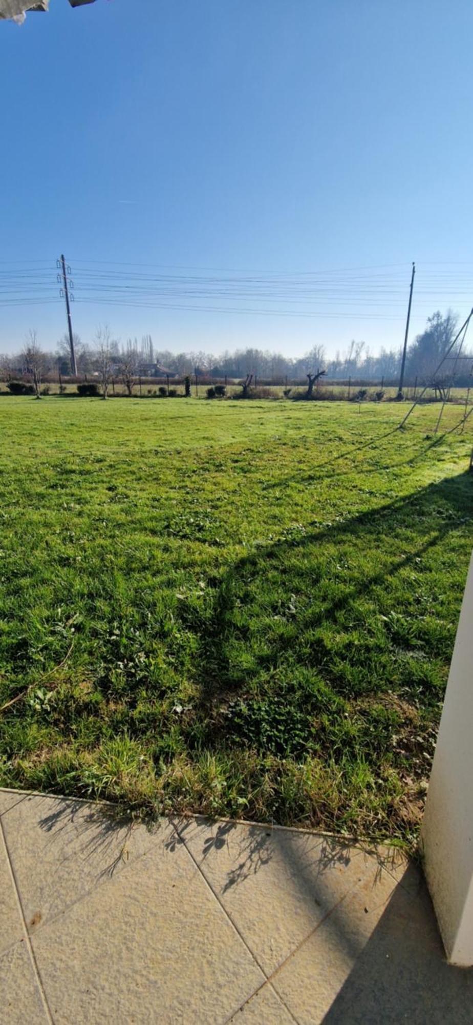 Studio Plein Sud Au Calme Montauban Esterno foto